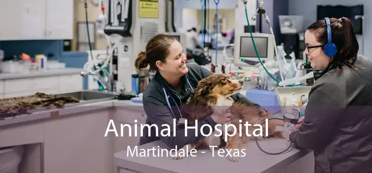 Animal Hospital Martindale - Texas