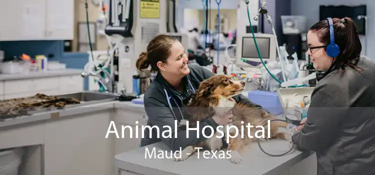 Animal Hospital Maud - Texas