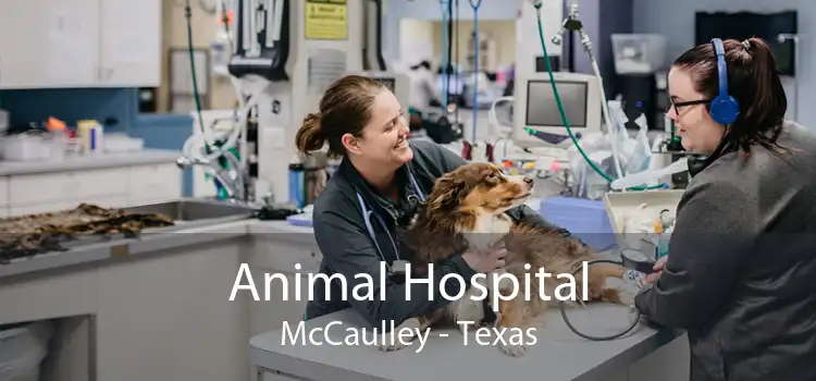 Animal Hospital McCaulley - Texas