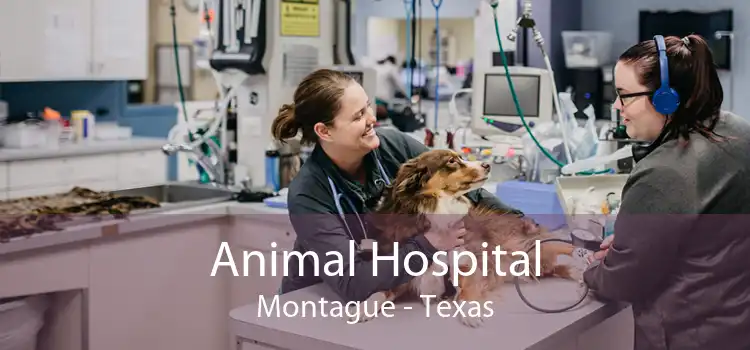 Animal Hospital Montague - Texas