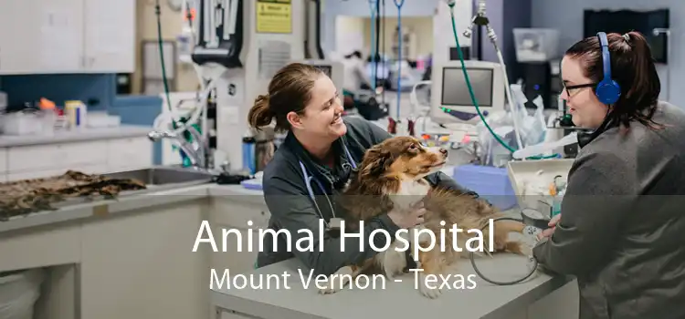 Animal Hospital Mount Vernon - Texas