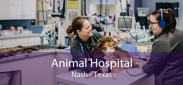 Animal Hospital Nash - Texas