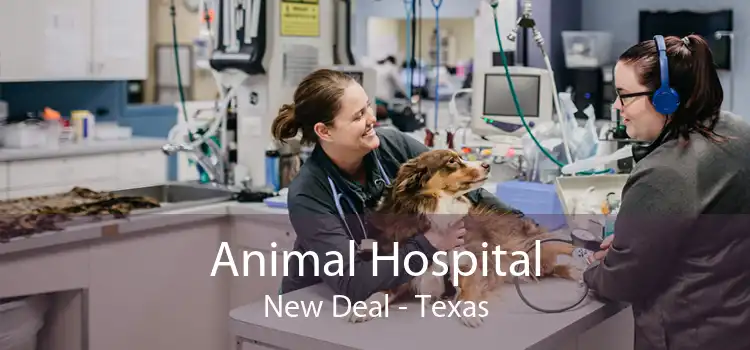 Animal Hospital New Deal - Texas