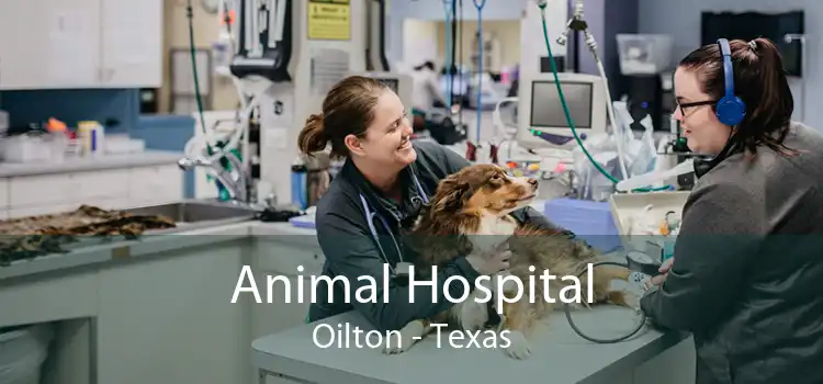 Animal Hospital Oilton - Texas