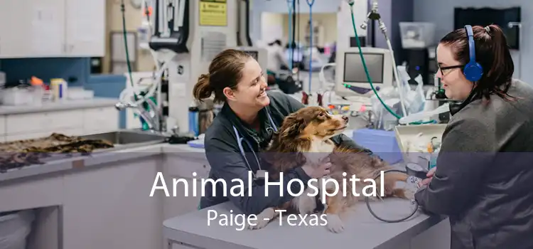 Animal Hospital Paige - Texas