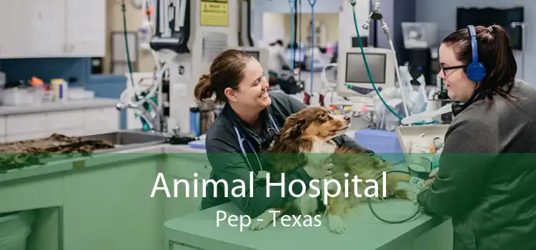 Animal Hospital Pep - Texas