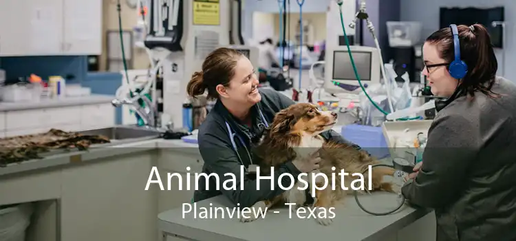 Animal Hospital Plainview - Texas