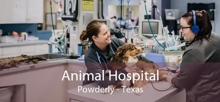 Animal Hospital Powderly - Texas