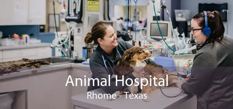 Animal Hospital Rhome - Texas