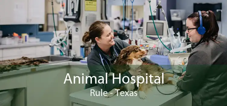 Animal Hospital Rule - Texas