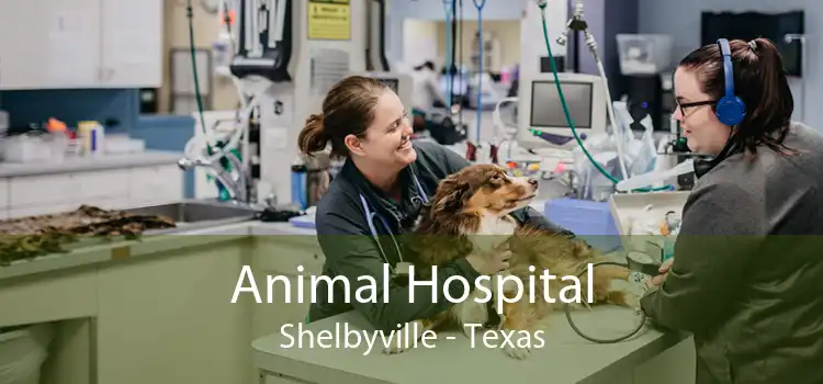 Animal Hospital Shelbyville - Texas