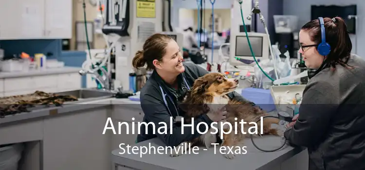Animal Hospital Stephenville - Texas