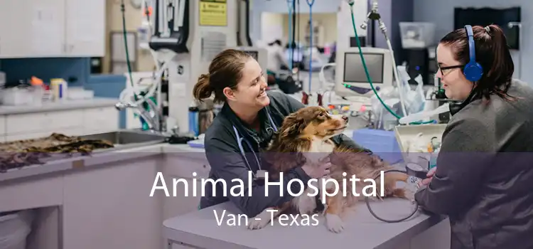 Animal Hospital Van - Texas