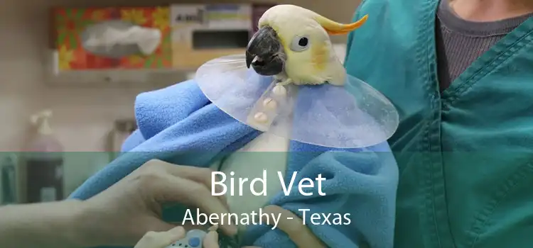 Bird Vet Abernathy - Texas