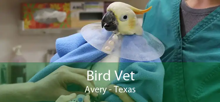 Bird Vet Avery - Texas