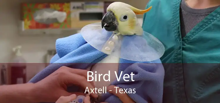 Bird Vet Axtell - Texas