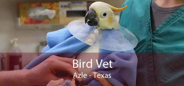 Bird Vet Azle - Texas