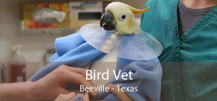 Bird Vet Beeville - Texas