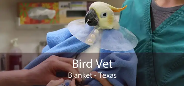 Bird Vet Blanket - Texas