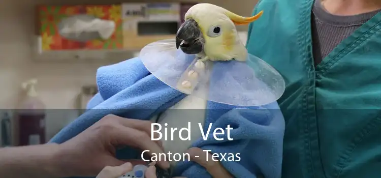 Bird Vet Canton - Texas