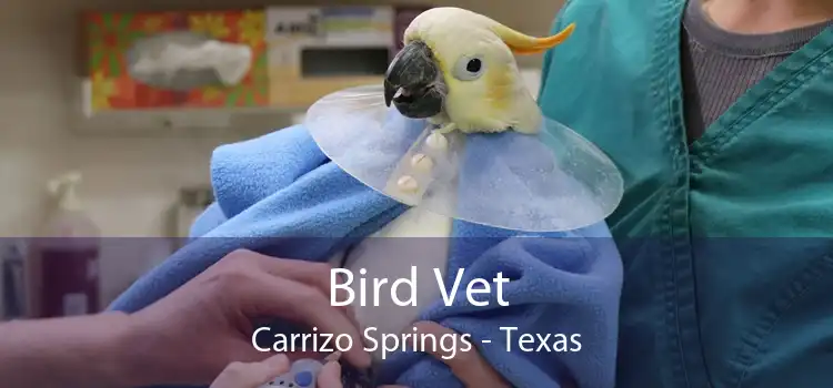Bird Vet Carrizo Springs - Texas