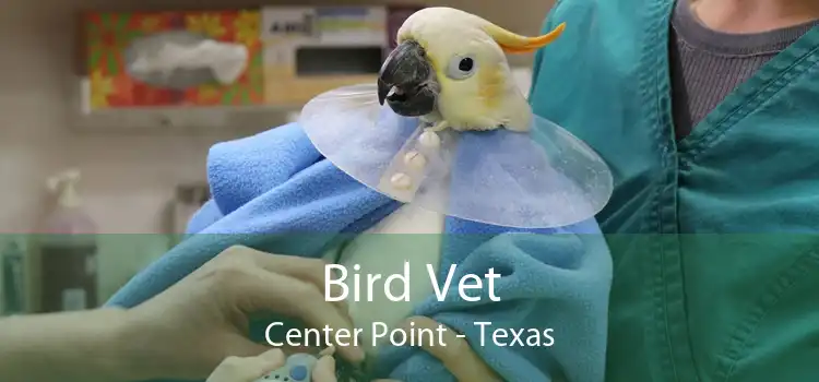 Bird Vet Center Point - Texas