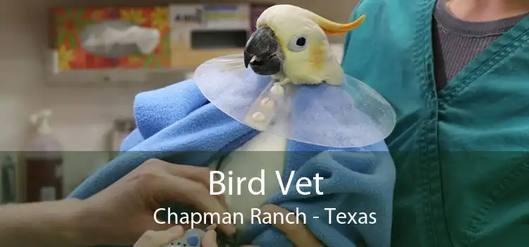 Bird Vet Chapman Ranch - Texas