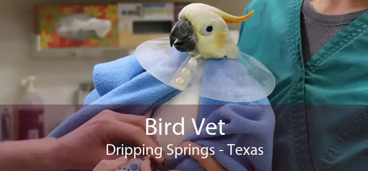 Bird Vet Dripping Springs - Texas