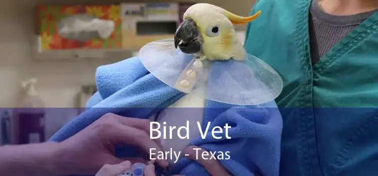 Bird Vet Early - Texas