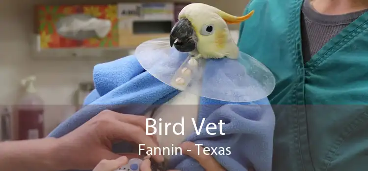 Bird Vet Fannin - Texas