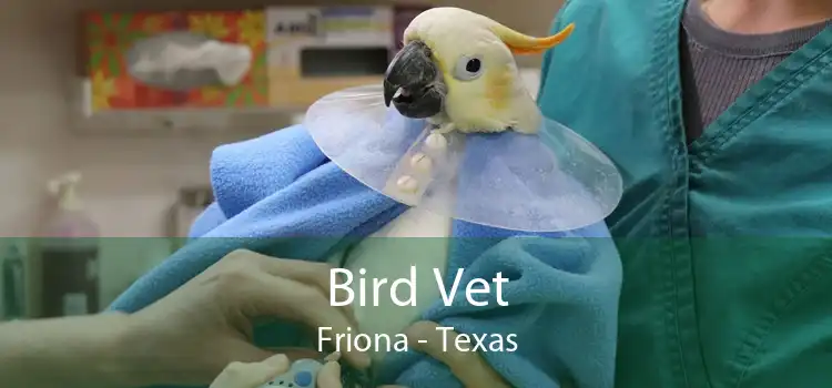 Bird Vet Friona - Texas