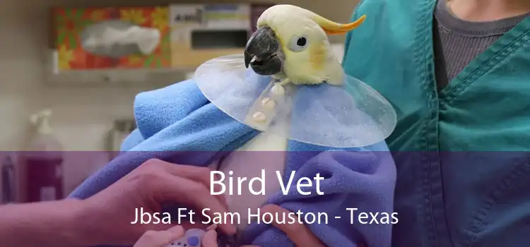 Bird Vet Jbsa Ft Sam Houston - Texas