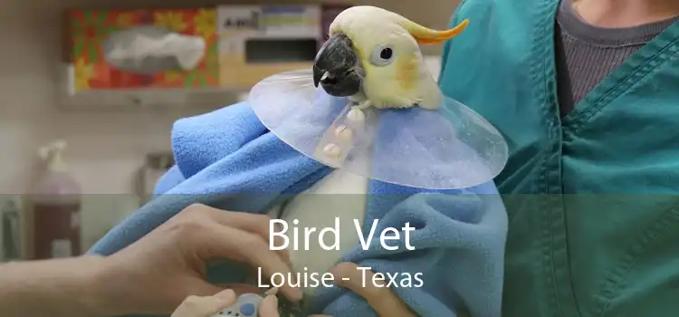 Bird Vet Louise - Texas