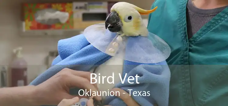 Bird Vet Oklaunion - Texas