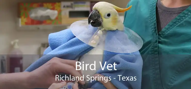 Bird Vet Richland Springs - Texas