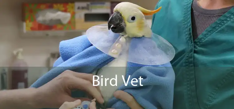 Bird Vet 