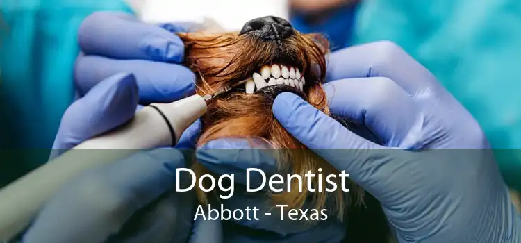 Dog Dentist Abbott - Texas