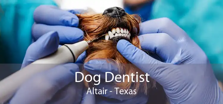 Dog Dentist Altair - Texas