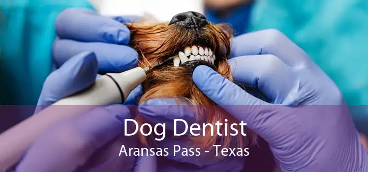 Dog Dentist Aransas Pass - Texas