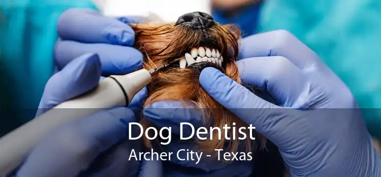 Dog Dentist Archer City - Texas