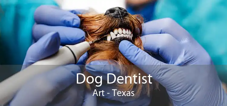 Dog Dentist Art - Texas