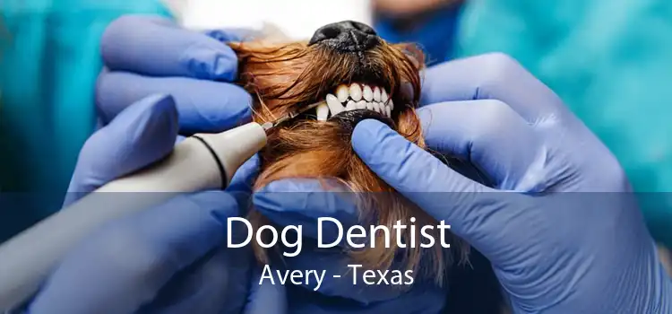 Dog Dentist Avery - Texas