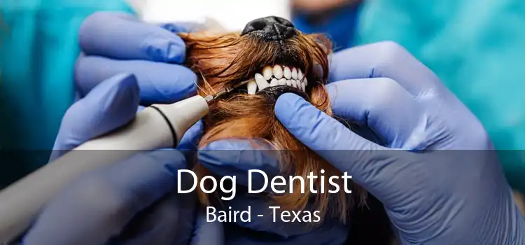 Dog Dentist Baird - Texas