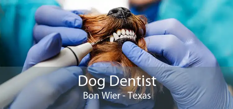 Dog Dentist Bon Wier - Texas