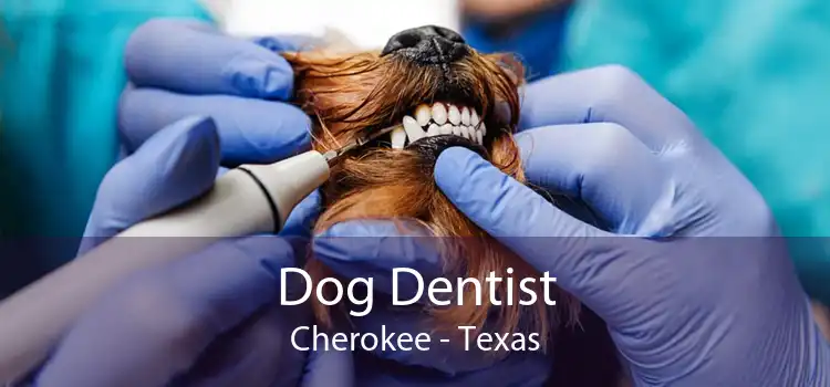 Dog Dentist Cherokee - Texas