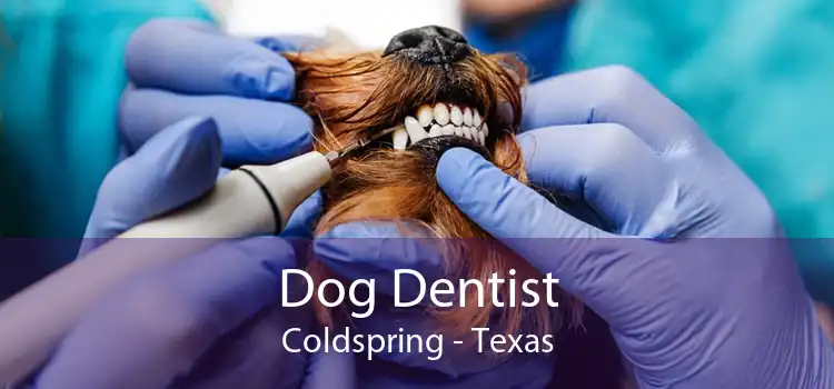 Dog Dentist Coldspring - Texas