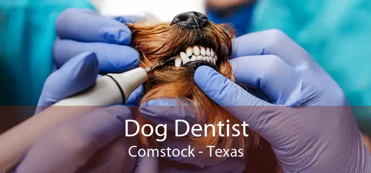 Dog Dentist Comstock - Texas