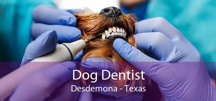 Dog Dentist Desdemona - Texas