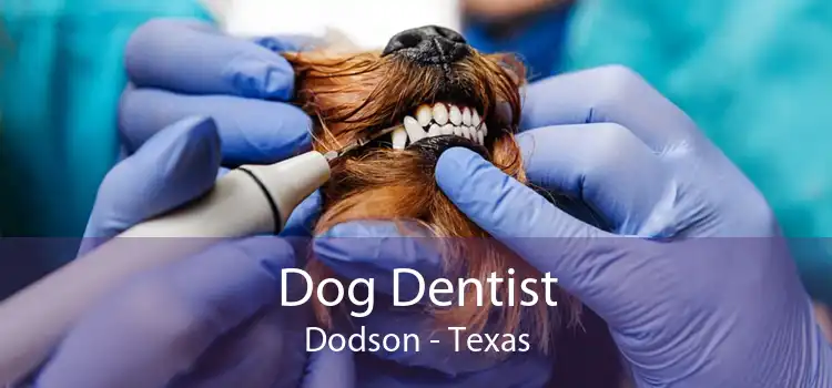 Dog Dentist Dodson - Texas