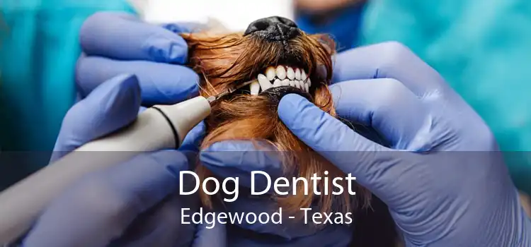 Dog Dentist Edgewood - Texas